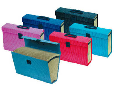 valisette-trieur-oxford-carton-compact-390x255x110mm-16-compartiments-kraft-acru-documents-240x320mm-coloris-noir
